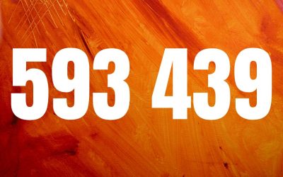 Celebrating the 593 439 people who were impacted by Walk Thru the Bible in Southern Africa in 2024